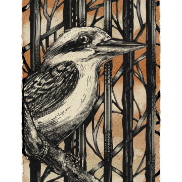 Kookaburra's Forest
