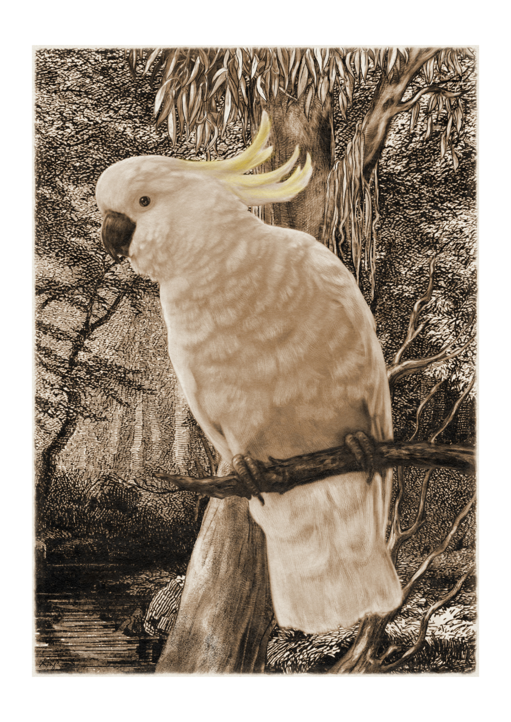 Sketchbook-Paper-Texture