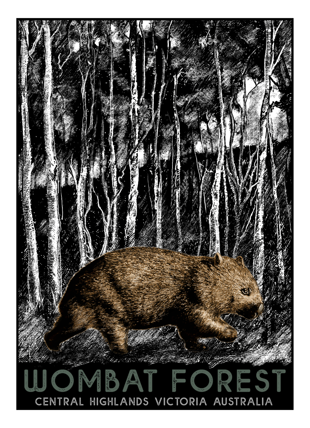 Wombat Forest poster #1